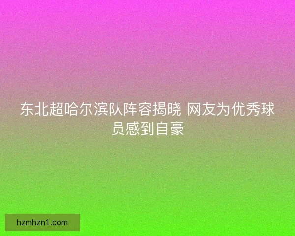 东北超哈尔滨队阵容揭晓 网友为优秀球员感到自豪